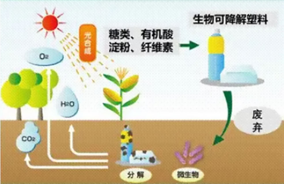 177-飽受爭議的“可降解塑料”配圖